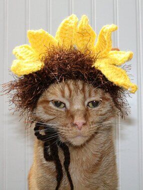 HAND CRAFTED Floral Sunflower Cat Hat Crochet Hairy Wig Costume Photo Prop